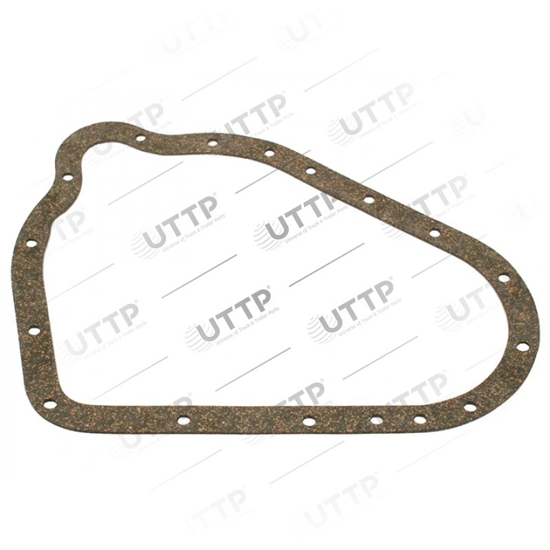 Gasket, timing case cover