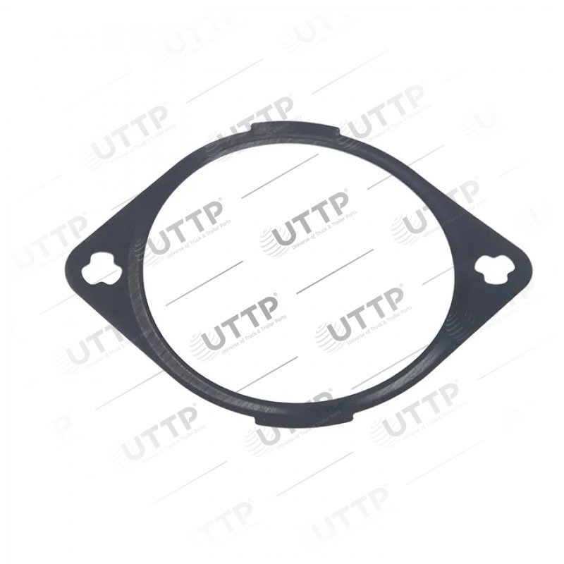 Gasket, timing case cover