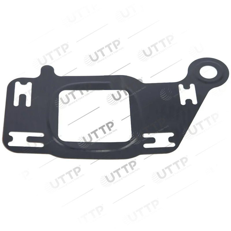 Gasket, crankcase ventilation