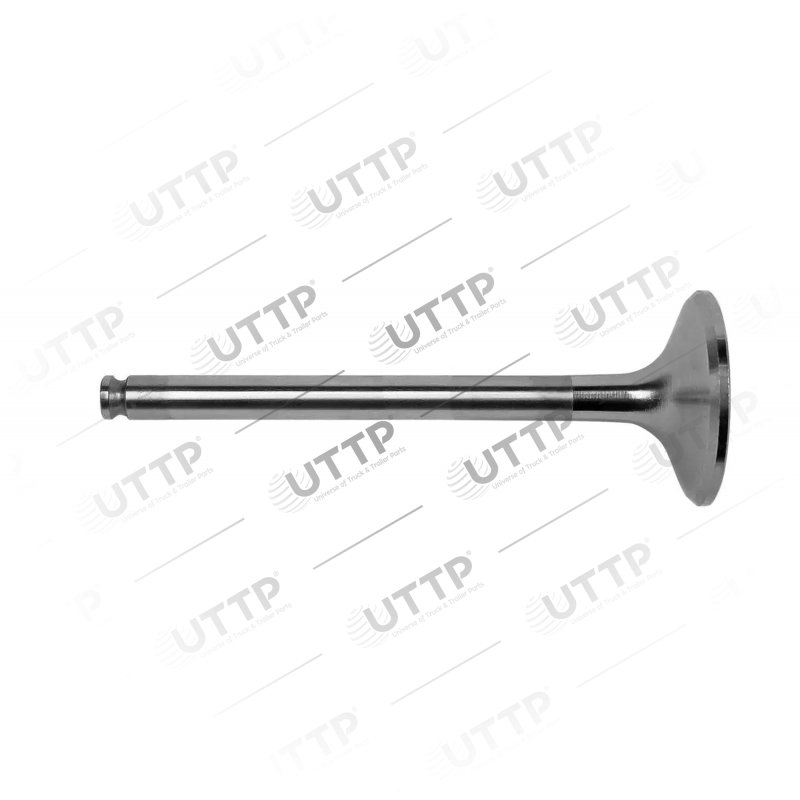 Intake valve