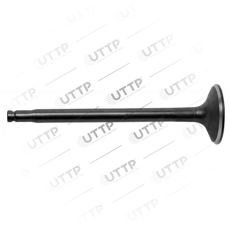 Intake valve